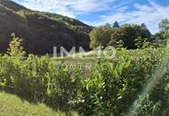 Gartenidylle pur! Provisionsfrei und sofort bezugsbereit!