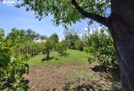 Außergewöhnliches Naturparadies in Bad Vöslau