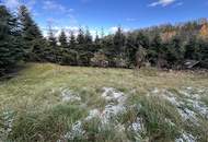 breiter Baugrund in leichter Hanglage mit Altbaumbestand zu verkaufen