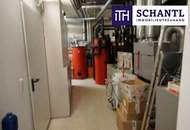 Substanzstarkes Premium-Investment in Feldkirchen bei Graz: Langfristig vermietete Zahnarztpraxis und exklusive Wohneinheit