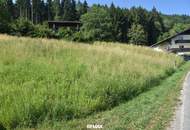 Natur pur am Vöcklaberg: Preiswertes Hanggrundstück in absoluter Ruhelage