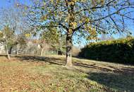 AUFGESCHLOSSEN - SONNIGES, EBENES ECKGRUNDSTÜCK MIT ALTBAUMBESTAND