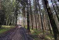 Ca. 9 ha Waldfläche zwischen Gurten und Eitzing - überwiegend Nadelholz