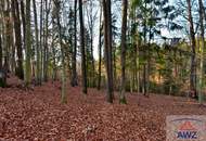 Baugrundstück mit landwirtschaflicher Nutzfläche!