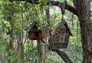 Seewinkel- Illmitz: ein Haus wie ein Guter Wein- Ortsruhelage