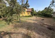BAUGRUND IN BAUMGARTEN – 2 Baugrundstücke mit 631 m² & 633 m² | auch gemeinsam erwerbbar