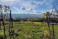 WEINGARTEN IN AUSSICHTSLAGE - WEINGARTEN, LANDWIRTSCHAFTLICHE FLÄCHEN - KEIN BAUGRUNDSTÜCK!