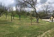 EINZIGARTIGE GELEGENHEIT! BAUERNHOF MIT 9789 m² LANDWIRTSCHAFT & 2421 m² WEINGARTEN! FÜR NATURFREUNDE & TIERLIEBHABER!
