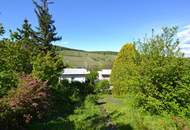 Ruhige Grünlage mit Weinbergblick – Pachtgrundstück mit Sommerhäuschen & Neubau-Möglichkeit! Digitales Angebotsverfahren!