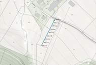 Großzügige Grundstücke für Land- und Forstwirtschaft. Baldramsdorf. Spittal an der Drau. Wald und Wiese.