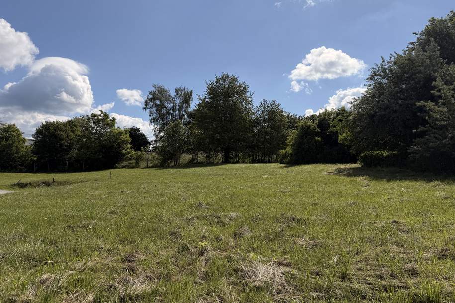 Baugrundstück in Zentrumsnähe, Grund und Boden-kauf, 94.500,€, 4150 Rohrbach