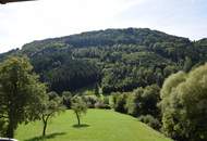 Großzügige Eigentumswohnung in ruhiger grüner Lage