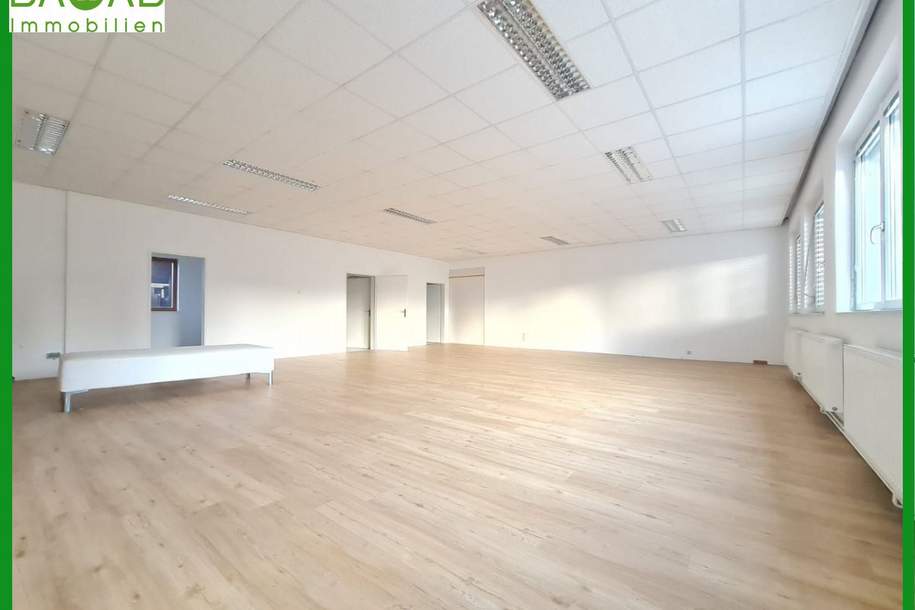 TOP GEWERBEFLÄCHE | PRAXIS - ORDINATION - BÜRO | ZENTRALE RUHELAGE | BARRIEREFREIE | PARKPLÄTZE DIREKT VOR DER TÜR, Gewerbeobjekt-miete, 1.210,00,€, 9020 Klagenfurt(Stadt)