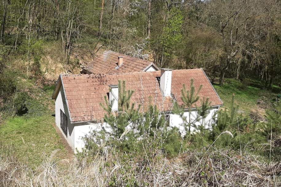 IDYLLISCHE ALLEINLAGE IM NATURSCHUTZGEBIET, Haus-kauf, 349.000,€, 3571 Horn