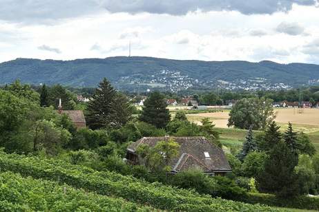 Helles Reihenhaus mit Fernblick und 2 Stellplätzen, Haus-miete, 2.525,36,€, 2102 Korneuburg