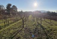 Villenbaugrund (1.335m²) in der Langenzersdorfer Kellergasse am Fuße des Bisambergs