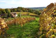 IN SLOWENIEN!! Authentisches Kellerstöckl mit Weinberg in Slowenien!