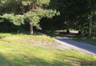 EINZIGARTIG - Wald, Wiesen, Bergblick und ein Bungalow!