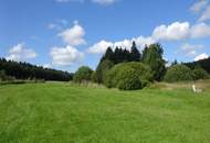 Klassischer Waldviertler Hof mit ca. 2 ha Grund!