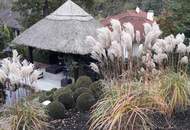 Wo Luxus auf Natur trifft - Villa mit Seele und Stil - Top Grazer Wohngegend!