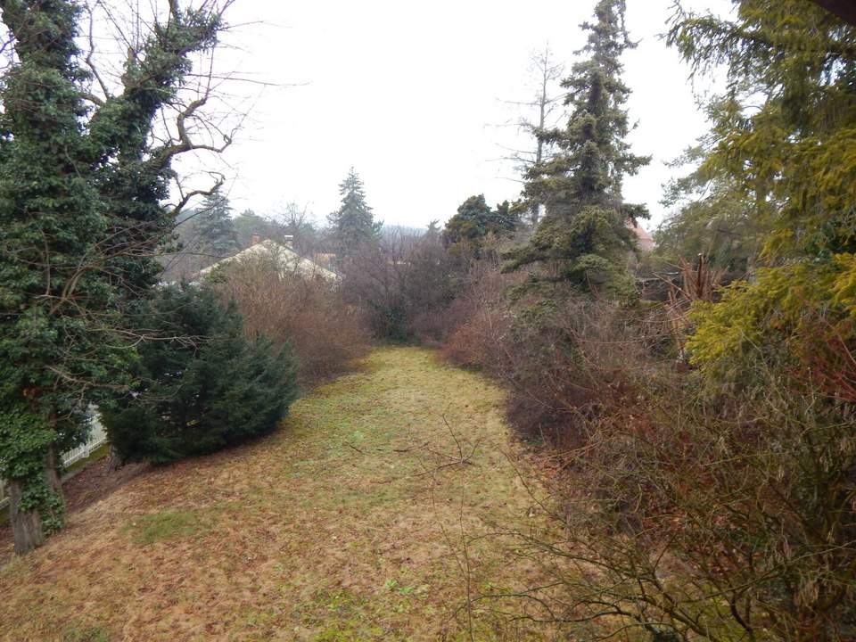 Bastlerhit mit großem Garten - ruhig in einer Sackgasse gelegen