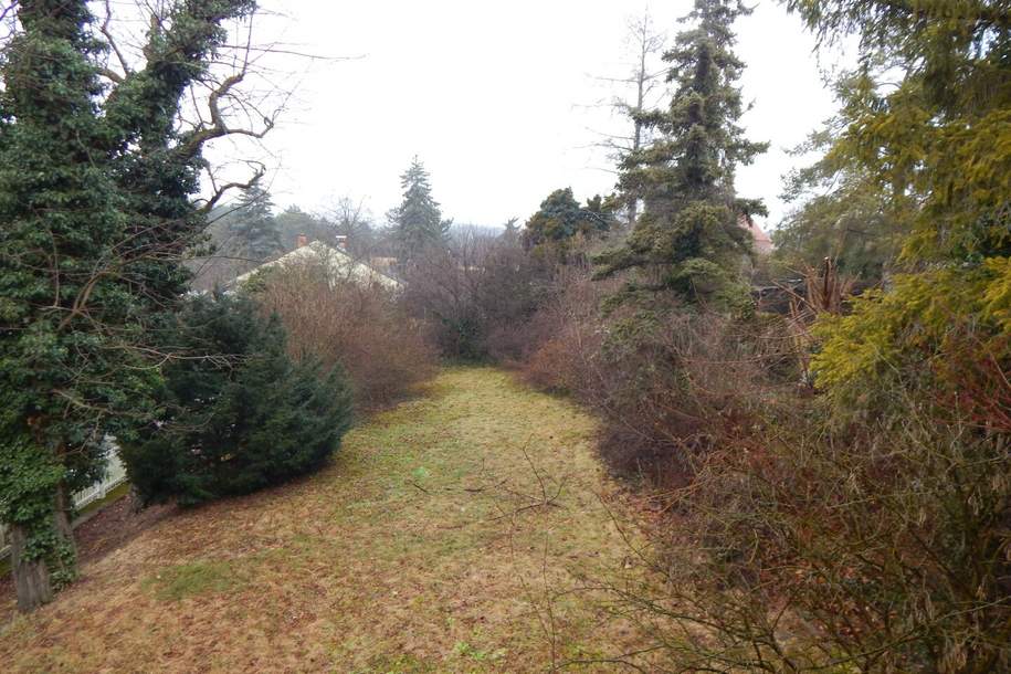 Bastlerhit mit großem Garten - ruhig in einer Sackgasse gelegen, Haus-kauf, 245.000,€, 2751 Wiener Neustadt(Land)