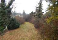 Bastlerhit mit großem Garten - ruhig in einer Sackgasse gelegen