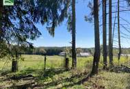 Aus alt mach neu - Historisches Einfamilienhaus in Alleinlage am Hügel in Bad Großpertholz mit großem Garten - JETZT ANFRAGEN