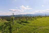 Ein eigenes Reich hoch über den Weinbergen in Plateaulage - alte weststeirische Baukultur trifft neue Ausbaumöglichkeiten