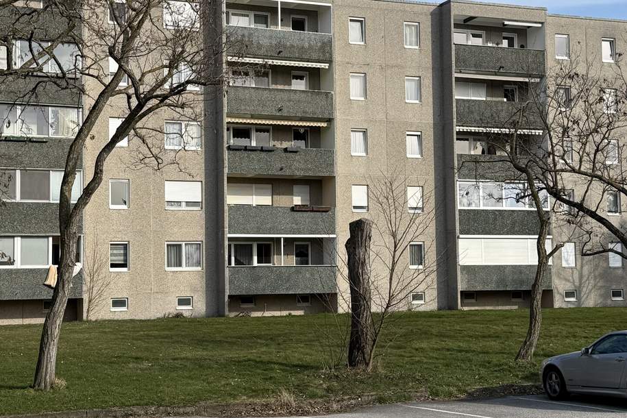 Wohnen oder Ordination, Wohnung-kauf, 325.000,€, 2500 Baden