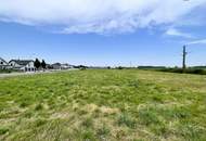 IHRE CHANCE: Betriebsgrundstück I TOP-Lage I Ideal geschnitten I Ortseinfahrt Mitterndorf/Fischa