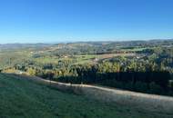 Himmlergut - Historischer Landsitz in Alleinlage mit Traumausblick