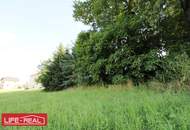 Vielseitiges Grundstück in wachstumsstarker Region