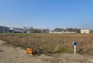 Eckbaugrundstück ohne Einheitenbeschränkung