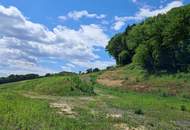 Die eigene Ranch auf 9,2ha Grund und Wald verwirklichen (Provisionsfrei)
