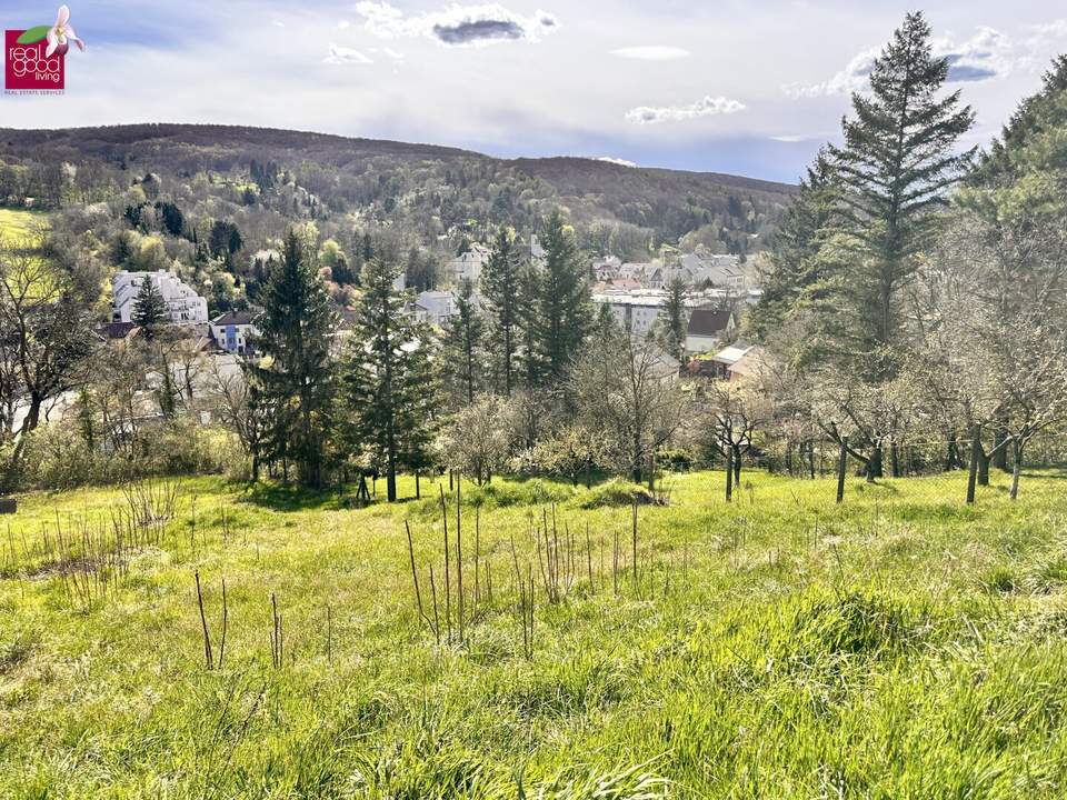 Traumhaftes Hanggrundstück in Kierling, Klosterneuburg – sonnig &amp; ruhig gelegen