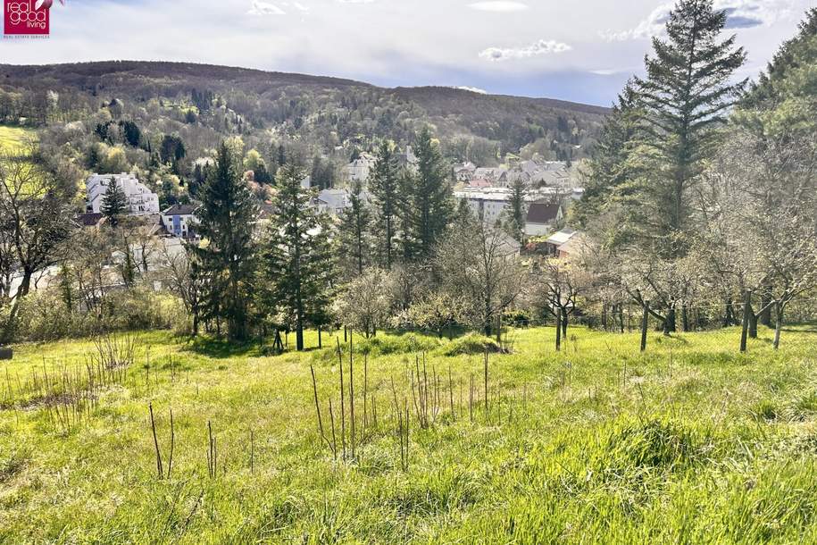 Traumhaftes Hanggrundstück in Kierling, Klosterneuburg – sonnig & ruhig gelegen, Grund und Boden-kauf, 830.000,€, 3400 Tulln