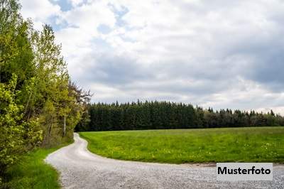 Land- und Forstwirtschaftsflächen
