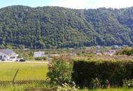 Bungalow mit Donaublick