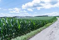 Perfektes Gewerbegrundstück mit Grünblick in Wolfern