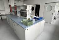 Vollausgestattete Laborflächen im Vienna Bio Center