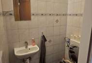 Wohnhaus mit Schwimmteich - 2 Wohneinheiten und Geschäft möglich