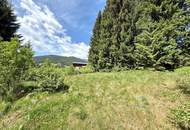 Sonniges Baugrundstück mit eigenem Waldbestand – seltene Kombination in bester Lage von Neuberg!