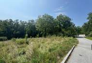 Zwei Baugrundstücke mit angrenzender Waldfläche in Hartberg – Am Brühlbach