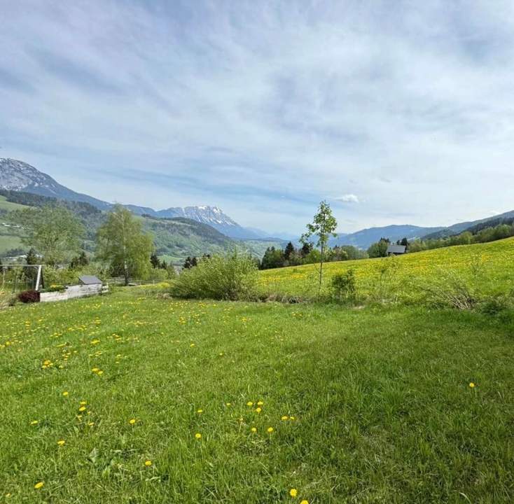 Galsterberg - 2 Grundstücke mit Traumaussicht (Provisionsfrei)