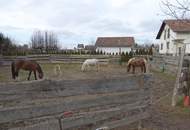 Privates Pferdeparadies für Liebhaber – genehmigt, etabliert, bezugsbereit