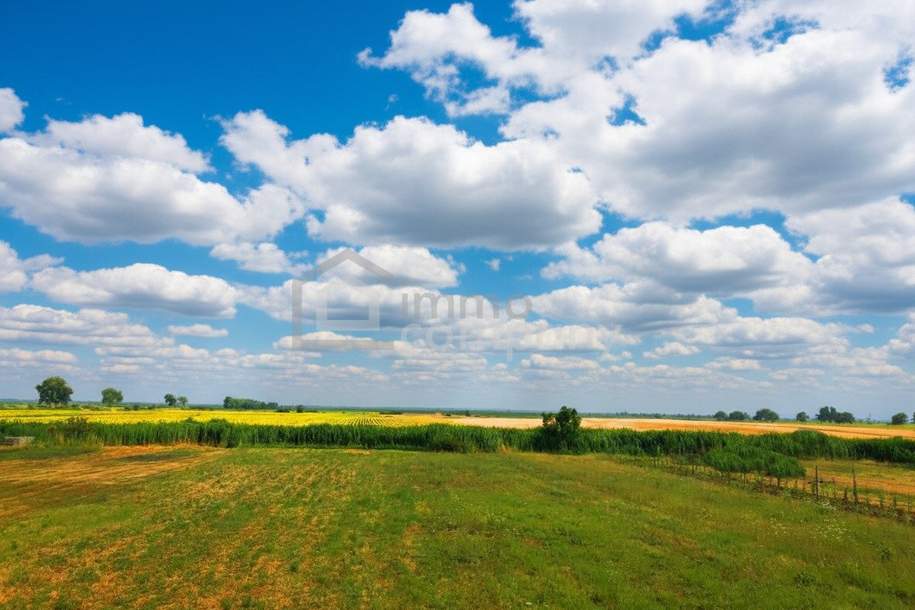 Große Freiheit, Grund und Boden-kauf, 298.000,€, 7092 Neusiedl am See