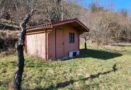 RARITÄT IN SENFTENBERG - GELEGENHEIT AUF EINEN WEINKELLER MIT SCHÖNEM KELLERGEBÄUDE, KELLERRÖHRE SOWIE GARTENHAUS AUF HERRLICHEM TEILWEISE ALS BAULAND GEWIDMETEN GRUNDSTÜCK