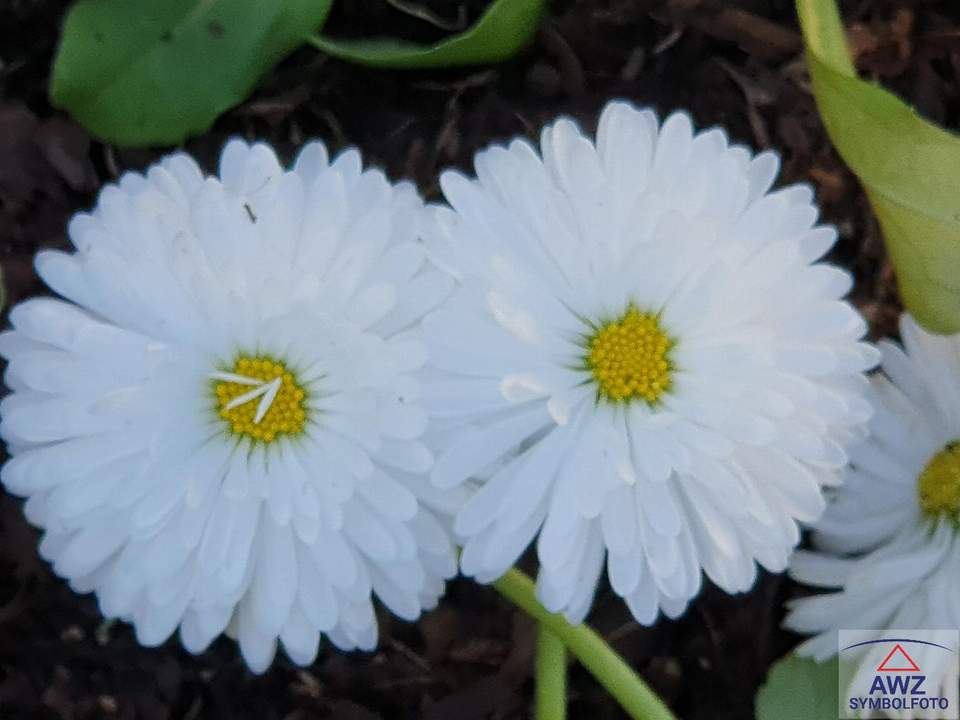 Zu vermieten: Zwei-Zimmer-Wohnung in renoviertem Altbau!