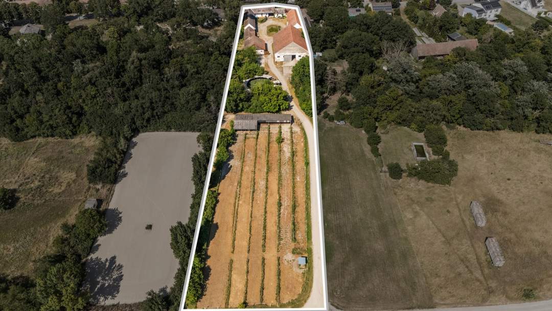 "Großzügiges Grundstück mit Pferdehof und sanierungsbedürftigem Haus – nur Minuten von Wien entfernt"